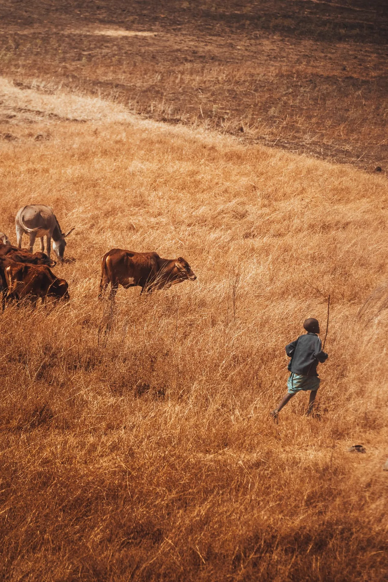 Tanzanie — 14