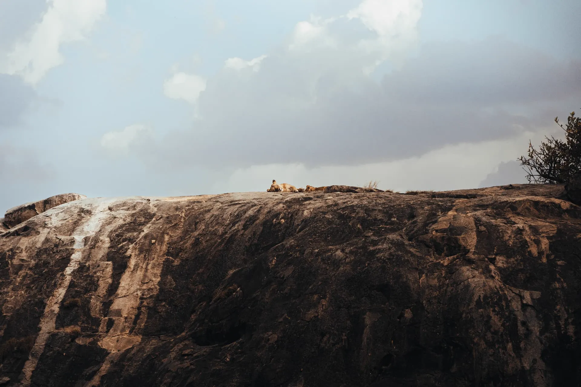 Tanzanie — 6