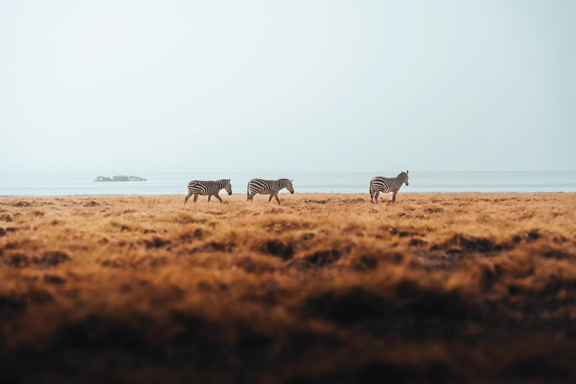 Tanzanie — 13
