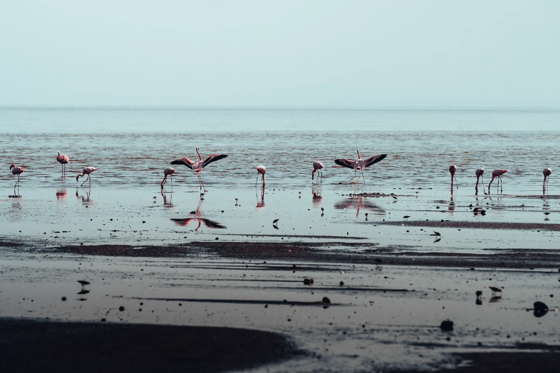 Tanzanie — 11
