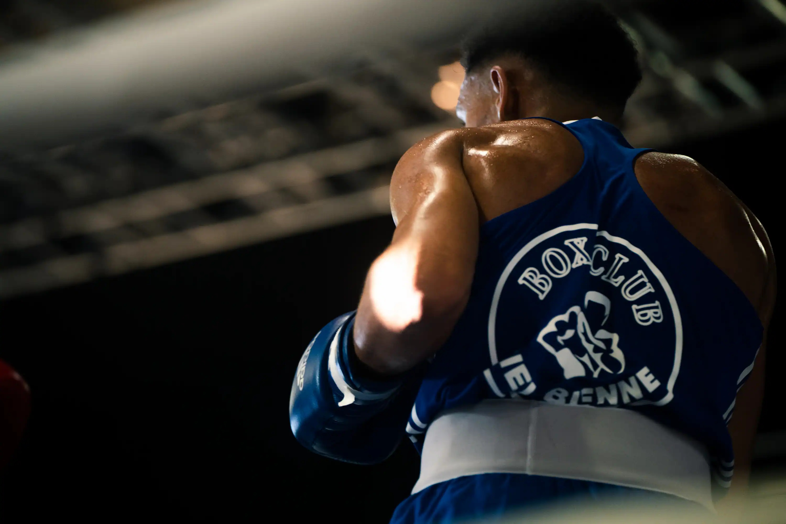 Box Swiss Championship