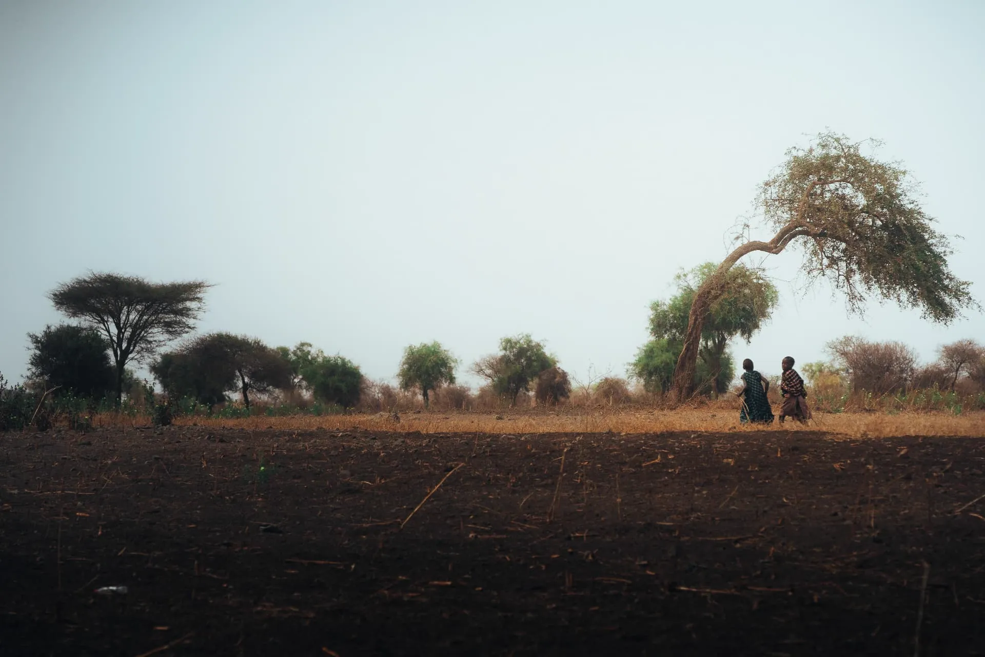Tanzanie — 15