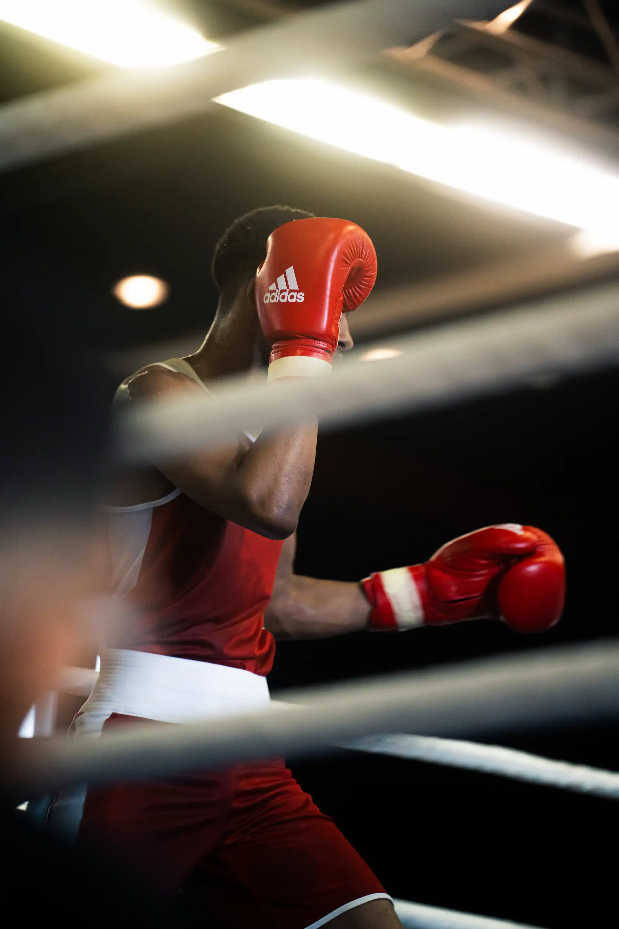 Box Swiss Championship — 6