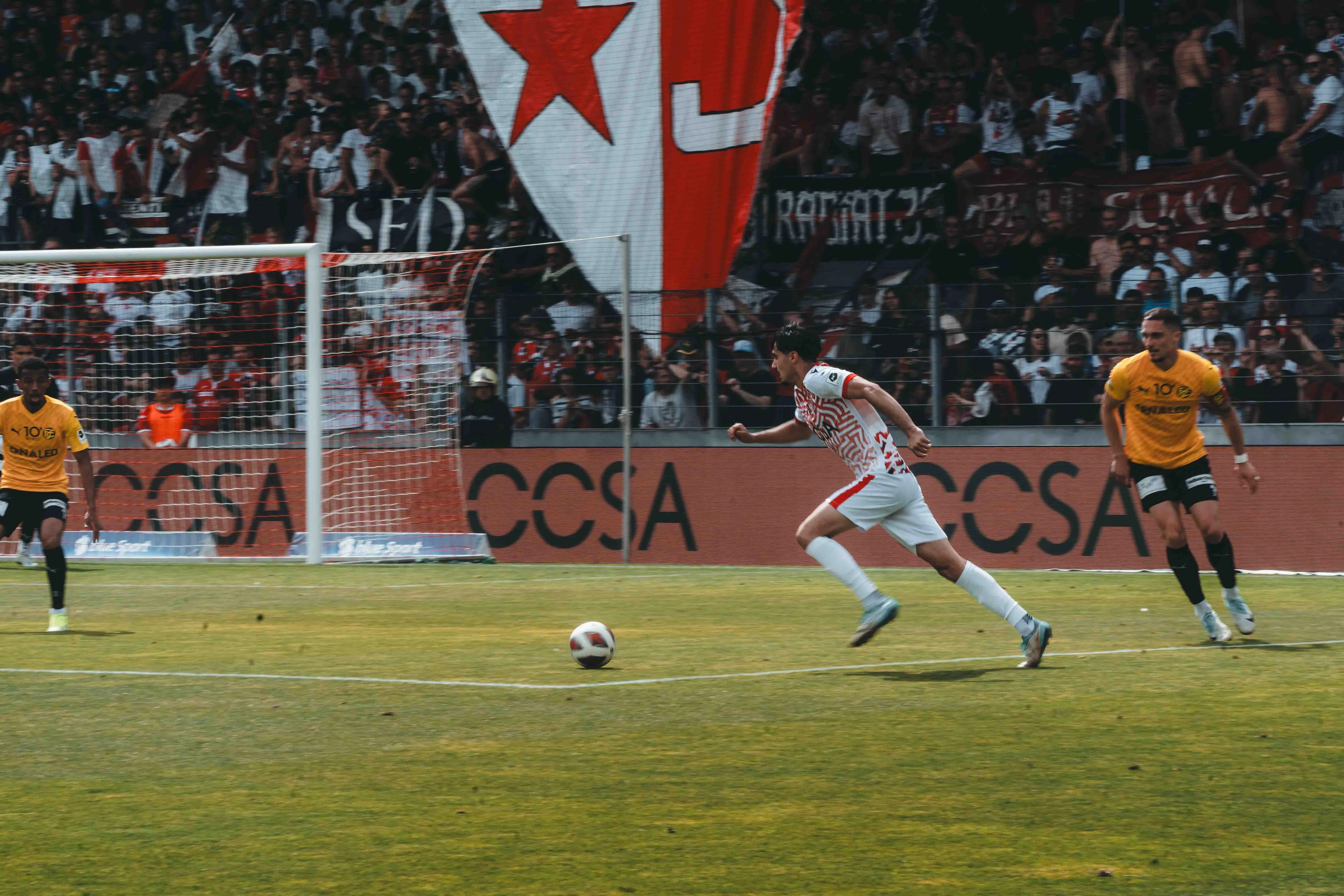 FC Sion — 11