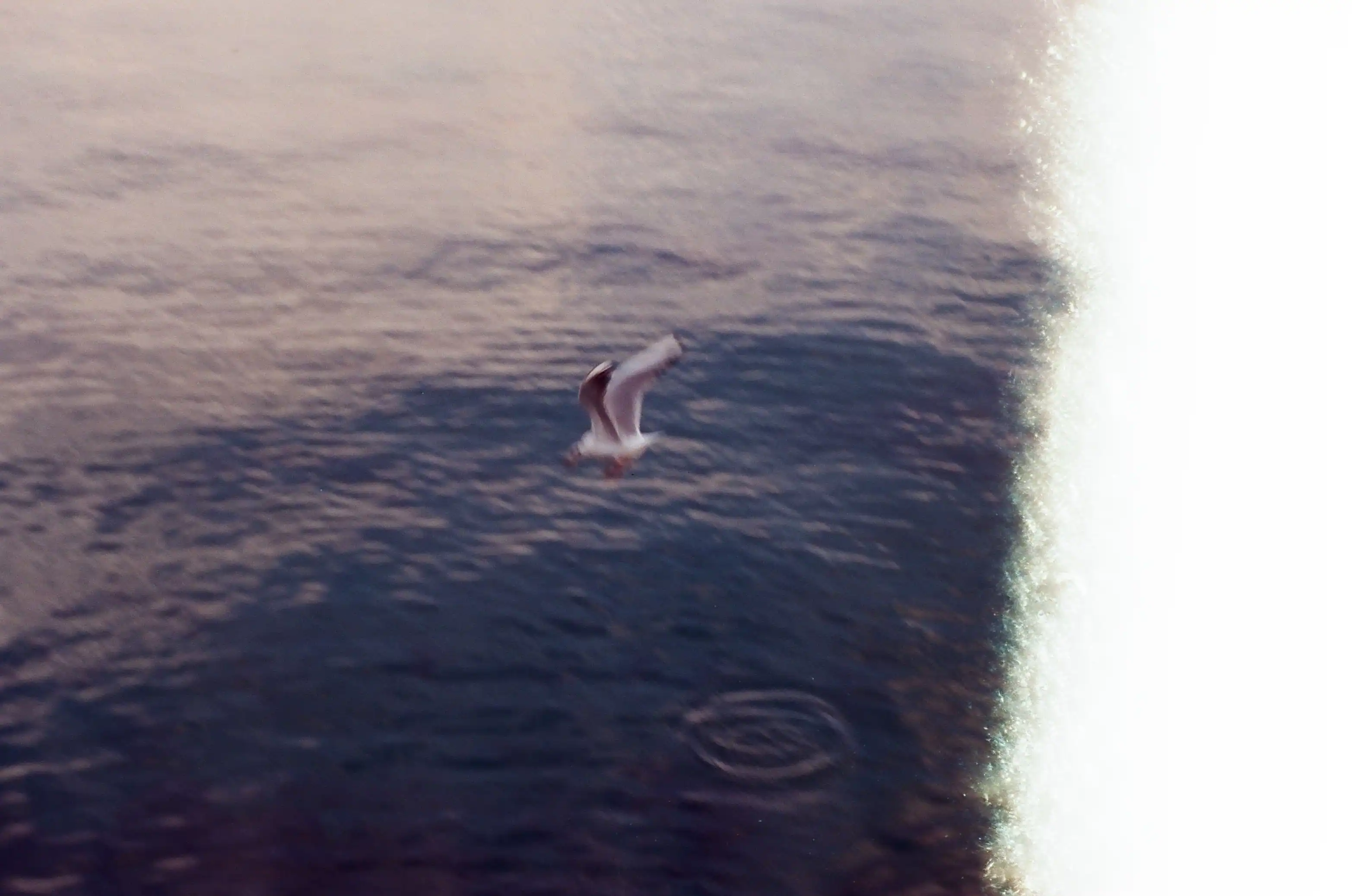 Film Photography — 23