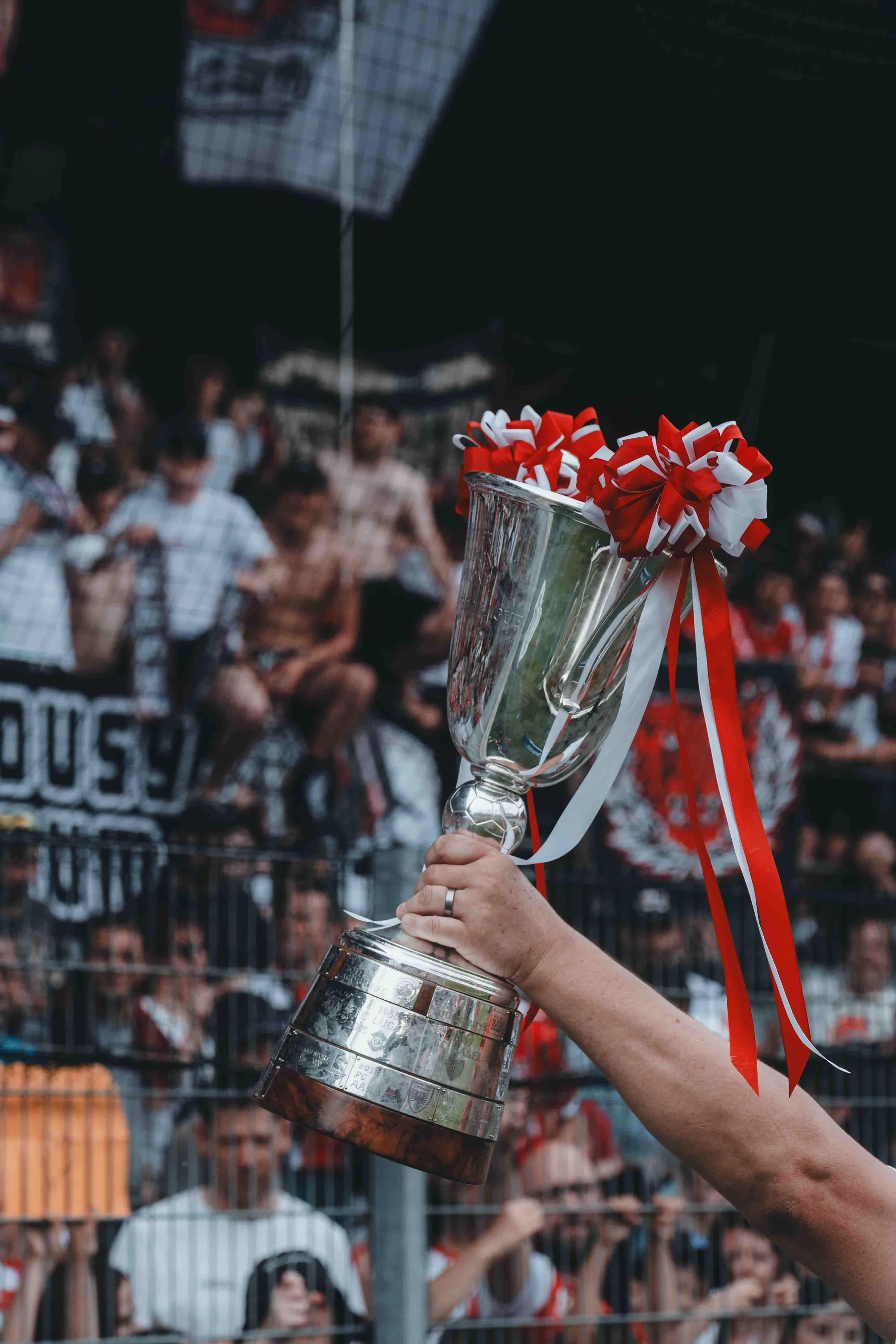 FC Sion — 21