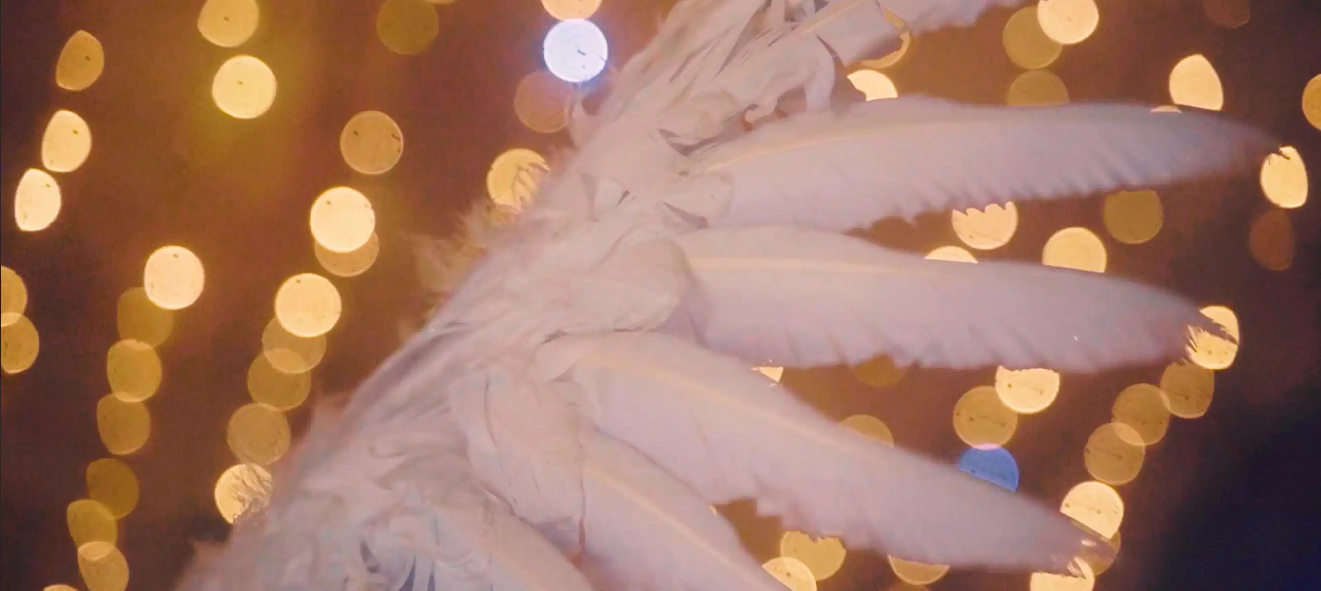 Road to the Carnival of Venice — 4