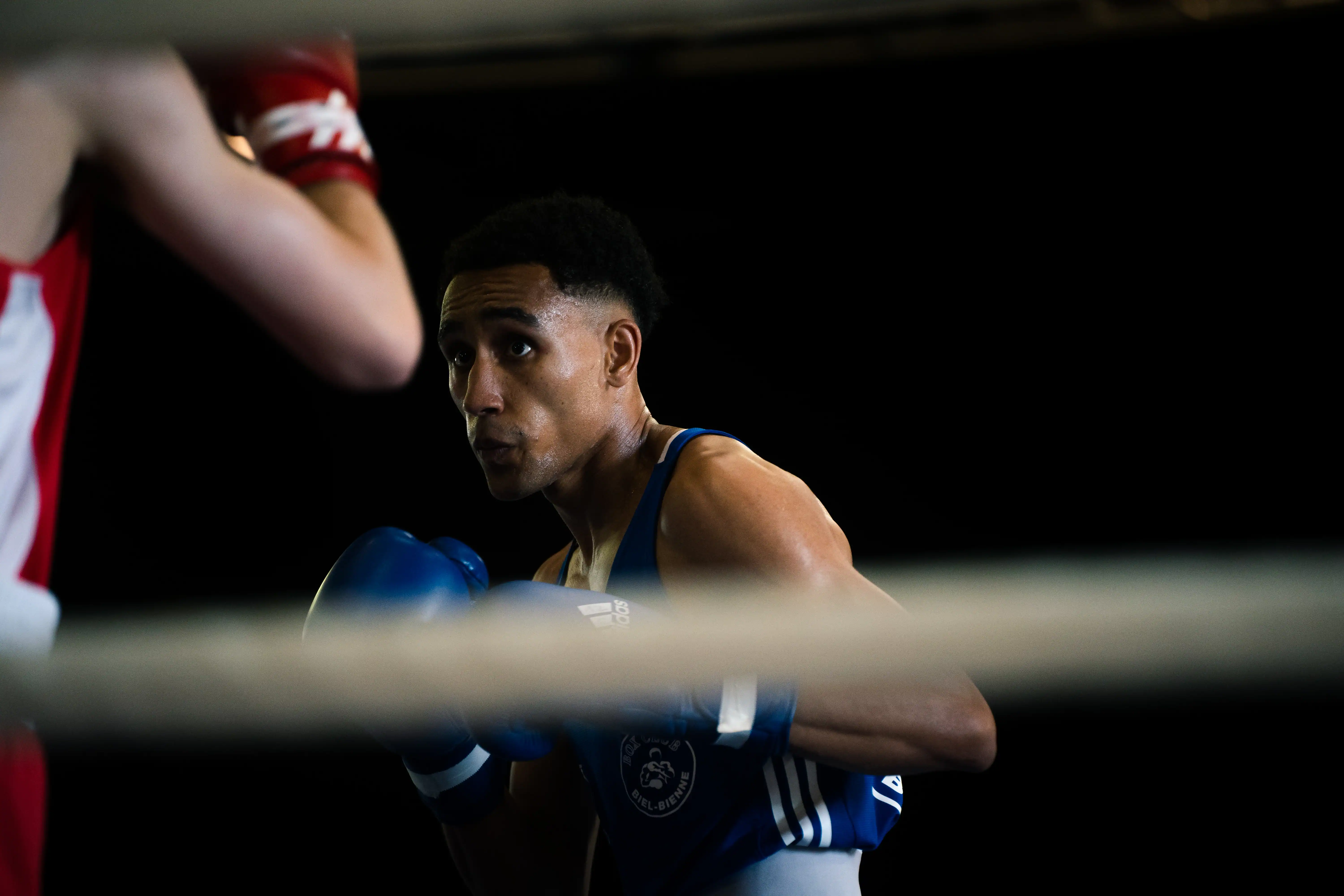 Box Swiss Championship — 19