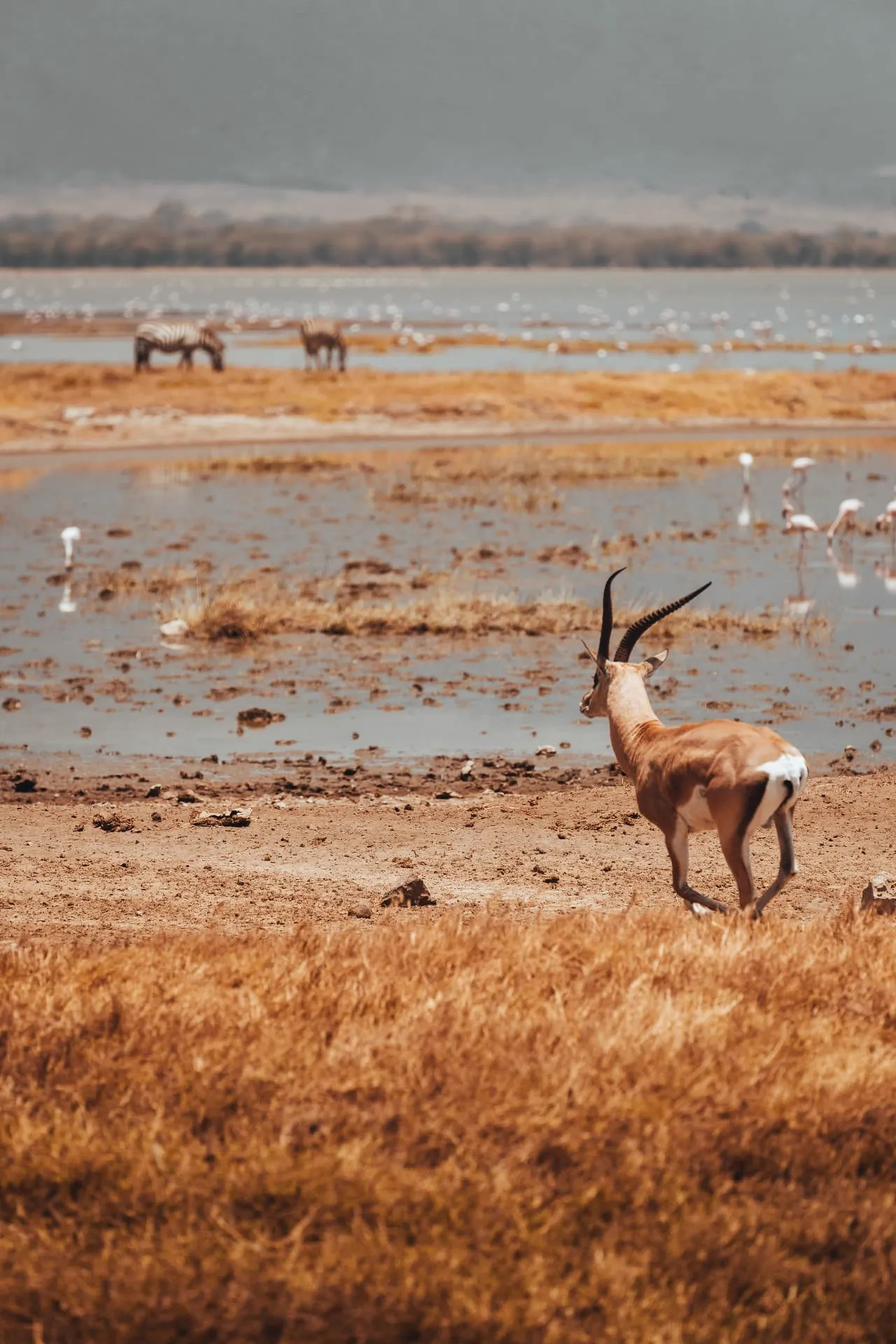Tanzanie — 4