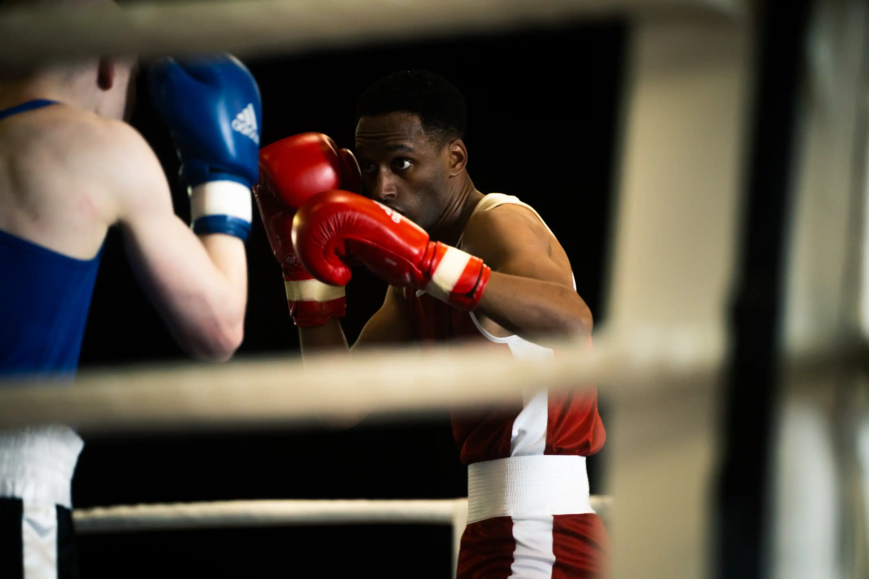 Box Swiss Championship — 14
