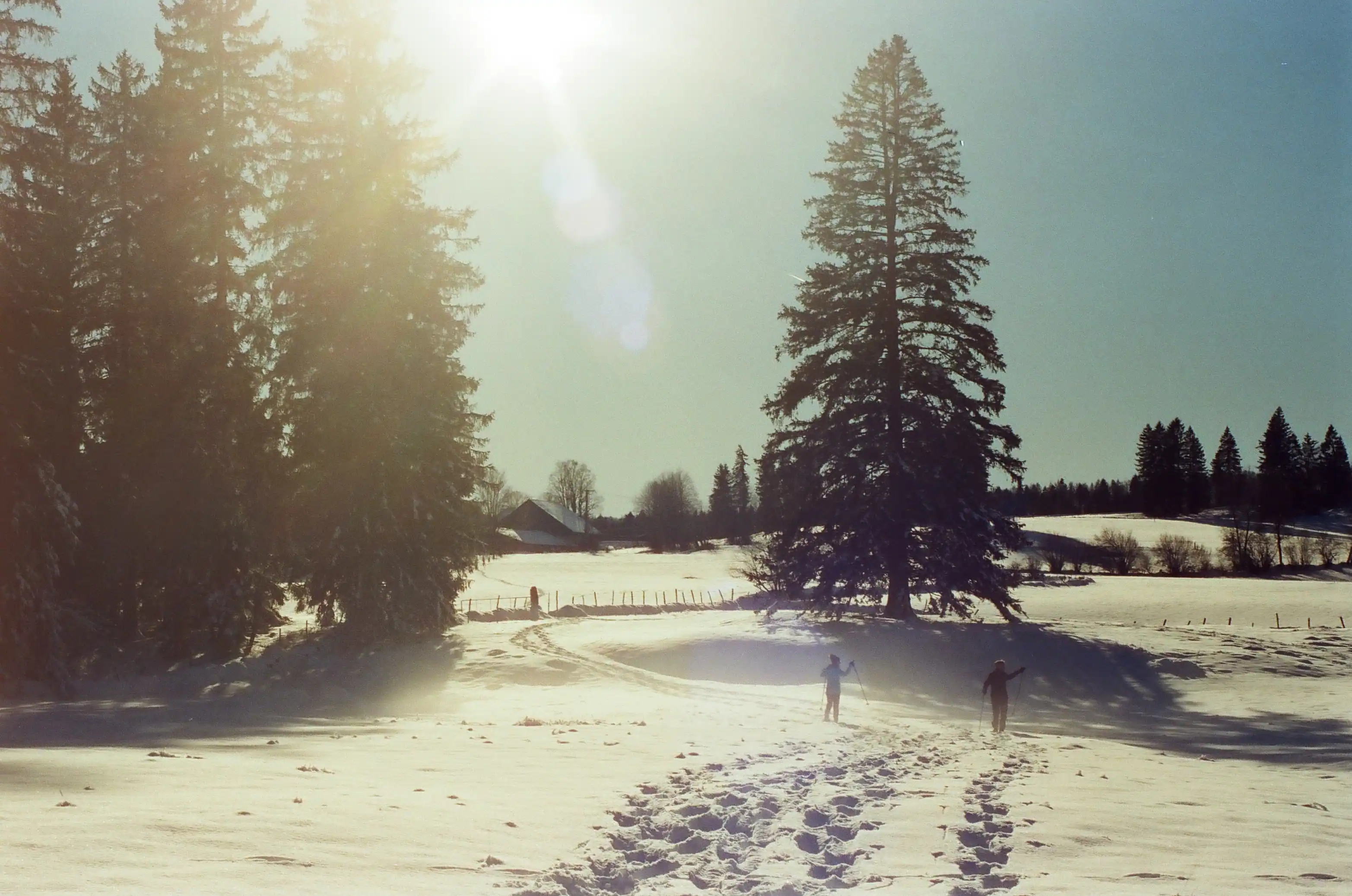 Film Photography — 4